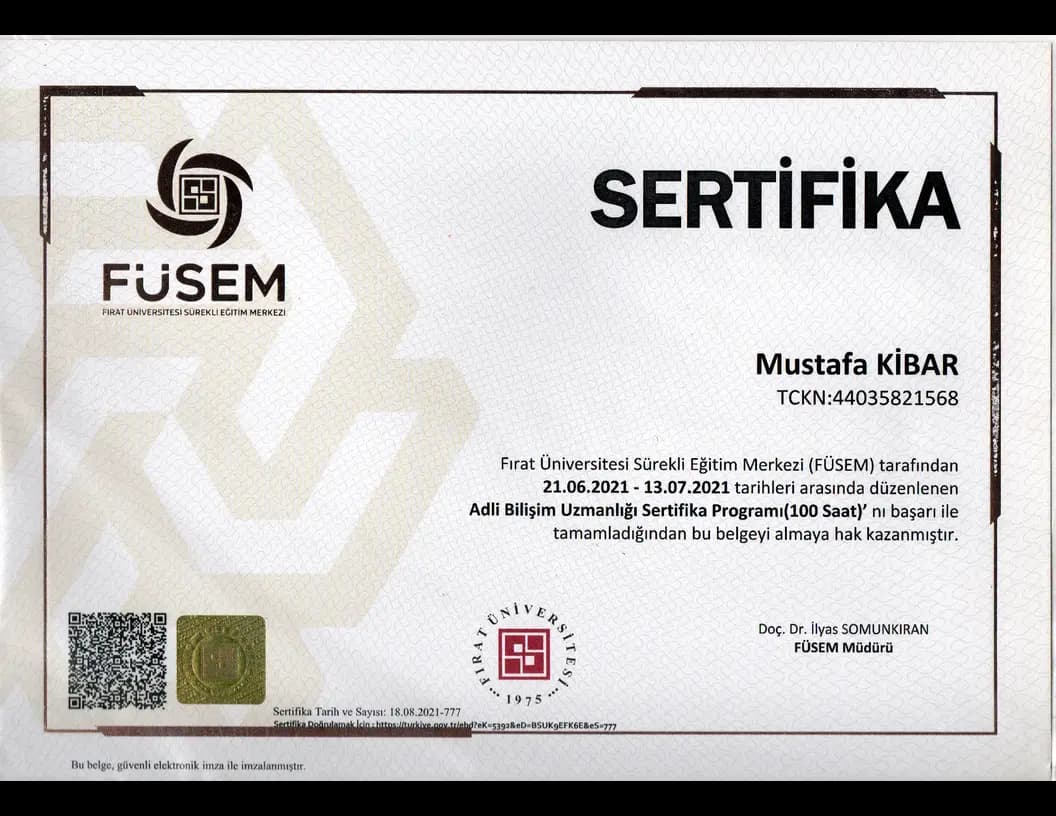 Forensic Information Expertise