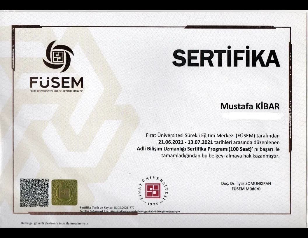 Forensic Information Expertise